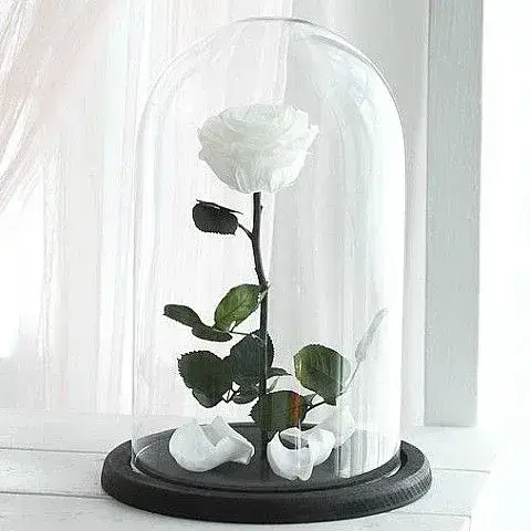 Forever Roses | Αιώνια Τριαντάφυλλα για Ρομαντικά Δώρα